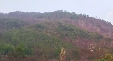 Sush Sarma tweet media