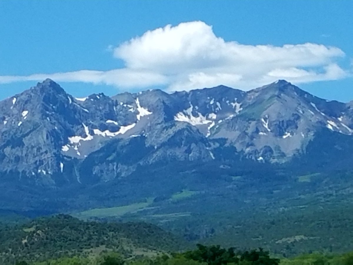 Lydia O'Rafter tweet media