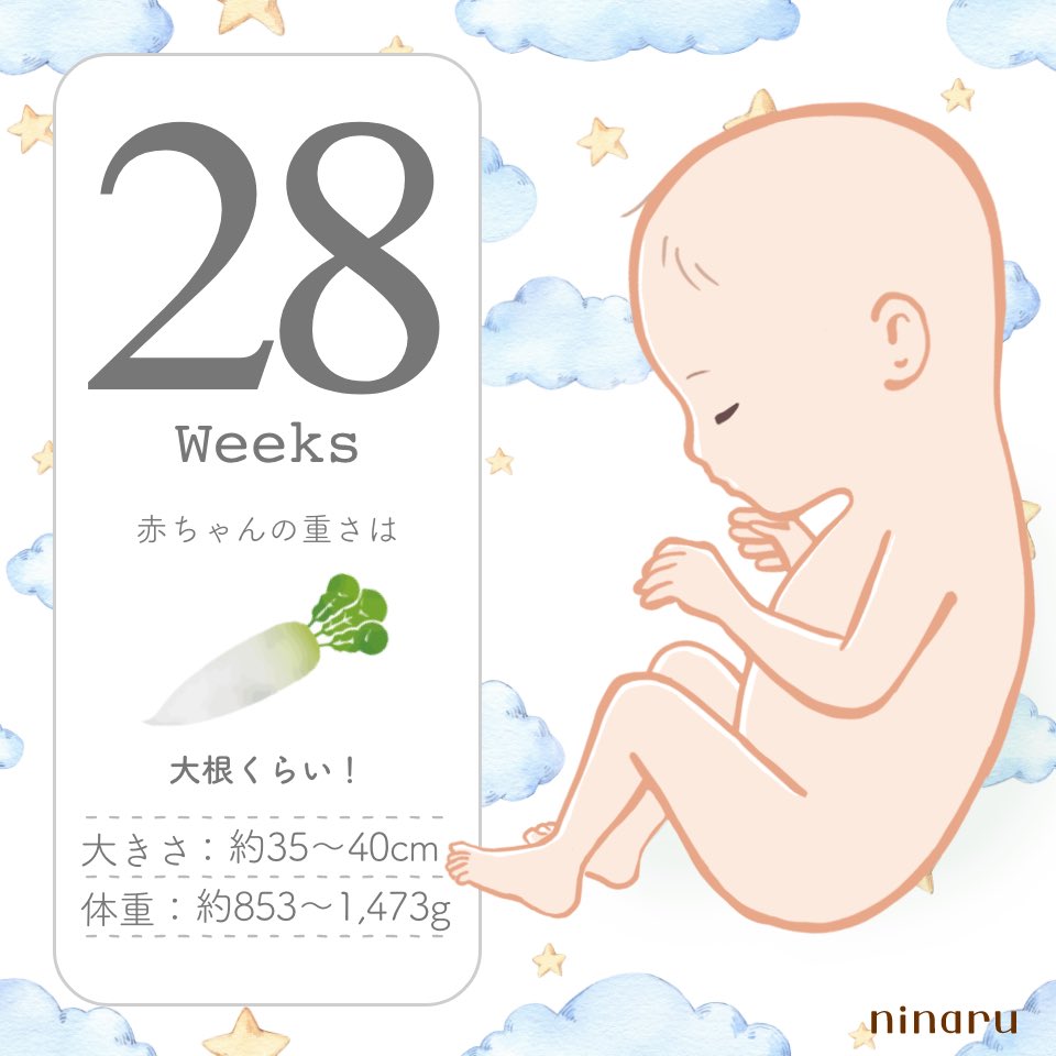 はむ ☺︎ 初マタ 27w🎀脳梗塞入院中 tweet media