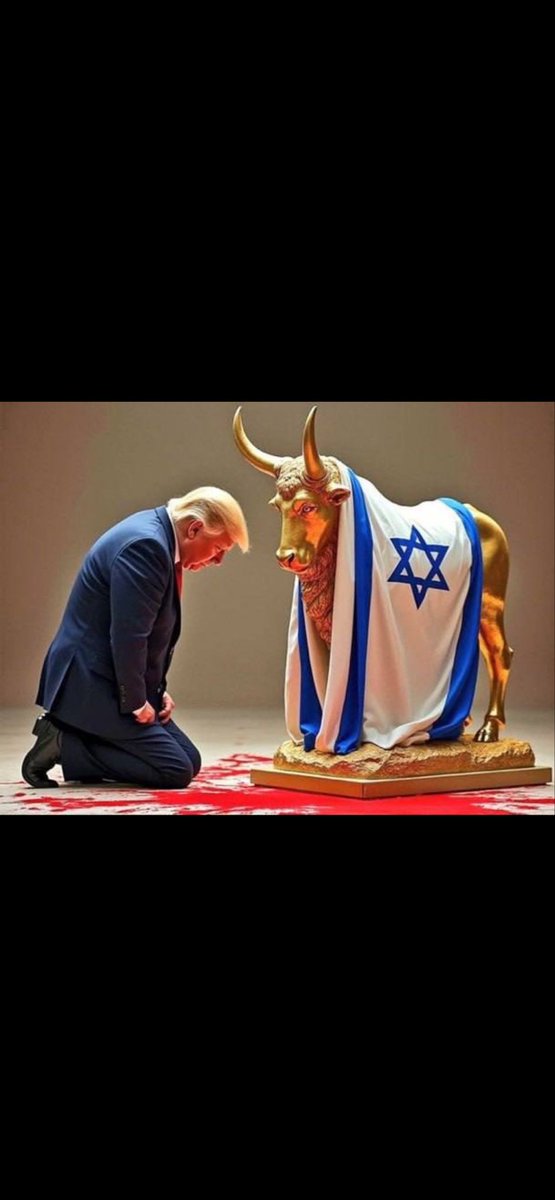 Albizu Vive tweet media