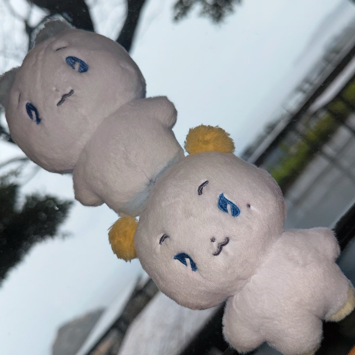 류 ꒰ა𓂋໒꒱ tweet media