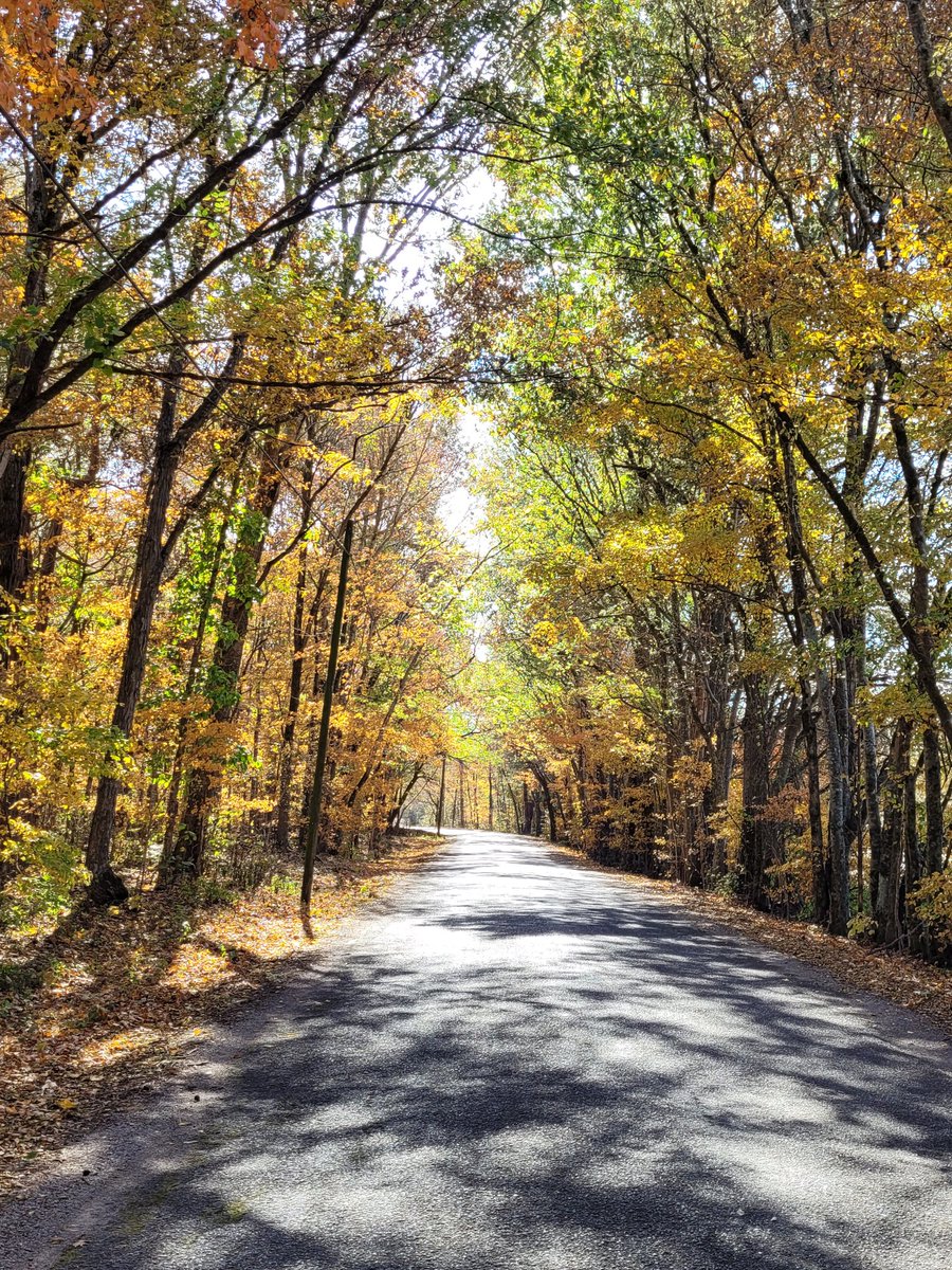 Lydia O'Rafter tweet media