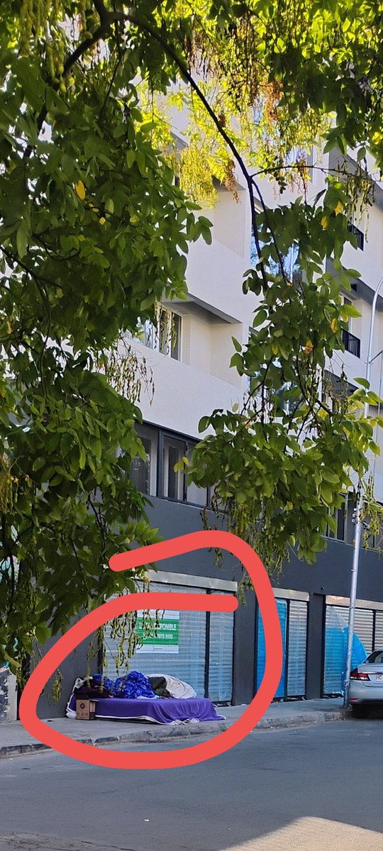 Kethy Porta tweet media