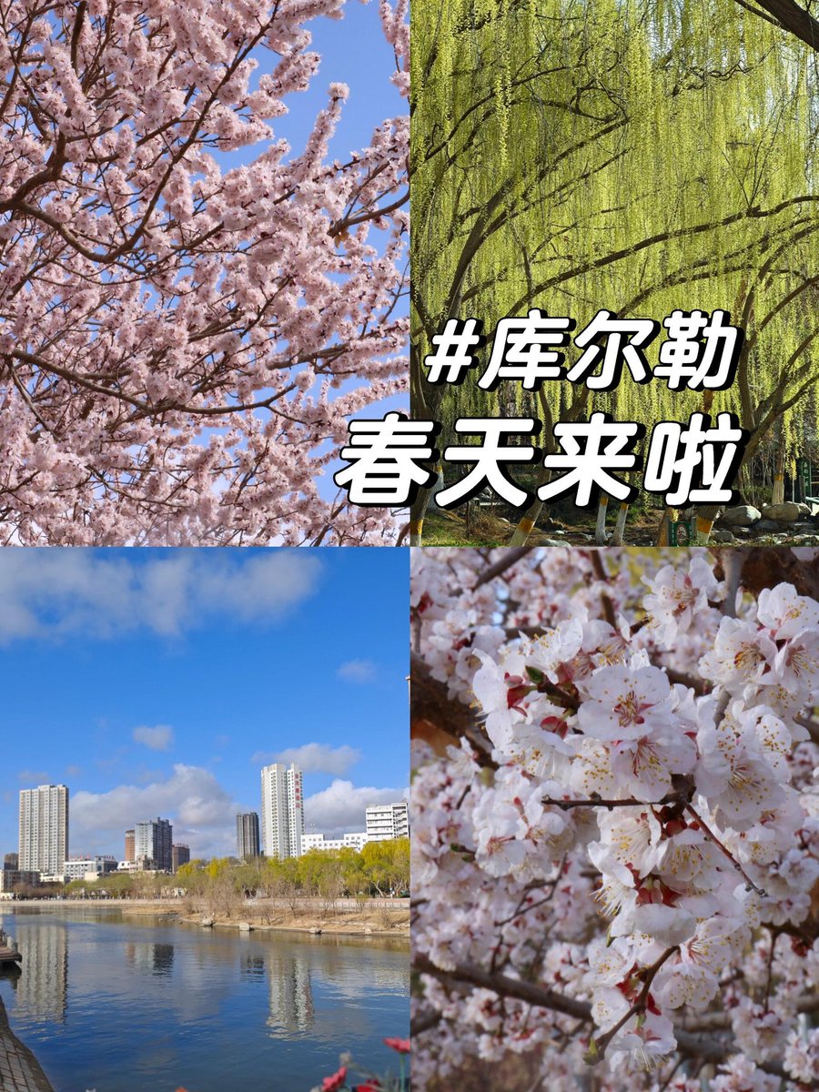 Xinjiang people tweet media