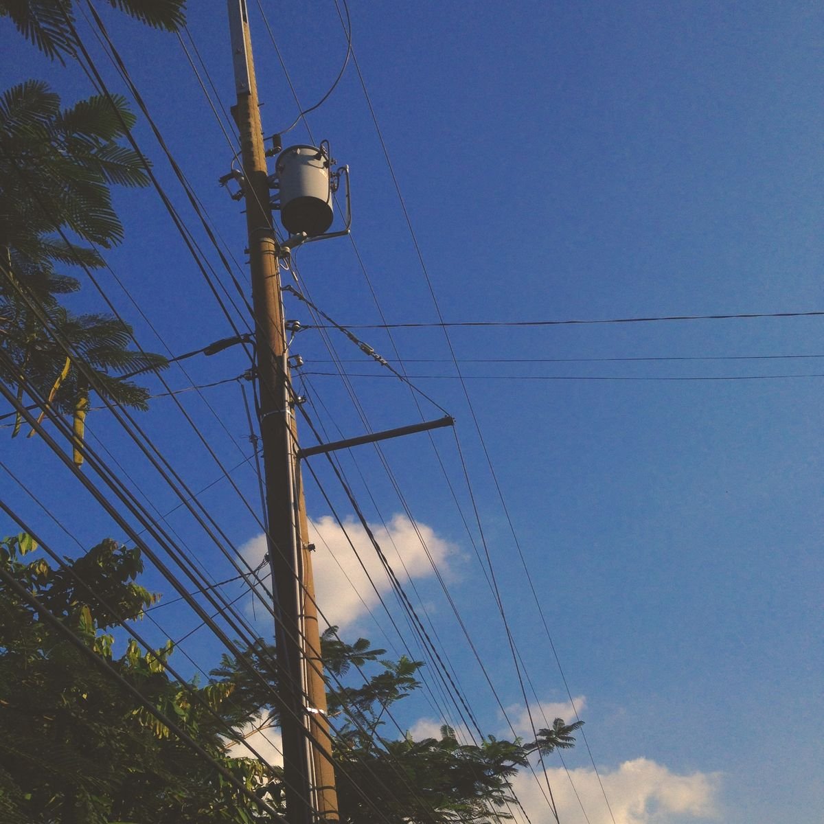 #SweetCornLATAM 
ASIAN MALE ARTIST 2026 🇨🇳❤️ 

¡Sigamos apoyando a #ZiYu para que entre al Top 10 y avance a la ronda final! Todos los votos del Semifinal se acumulan para la Final, así que cada clic cuenta.
🗳️ Vota aquí: statspoll.com | Cierre: 04.03.26 (10:00 PM 🇵🇭)