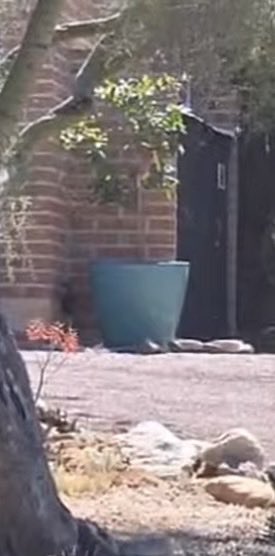 Shana Lee PNW tweet media