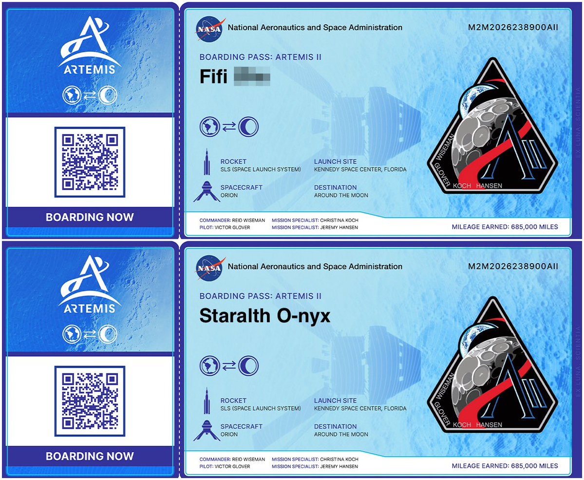 𝐅𝐢𝐟𝐢 ✦ 𝐒𝐭𝐚𝐫𝐚𝐥𝐭𝐡 tweet media