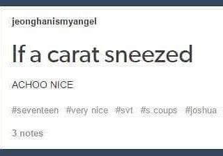 Carat Hall Of Fame (@carathalloffame) on Twitter photo 