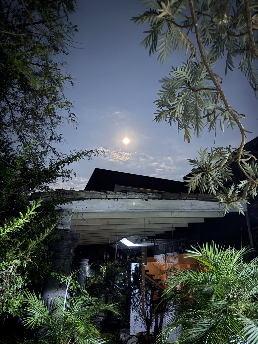 Fernández Noroña tweet media