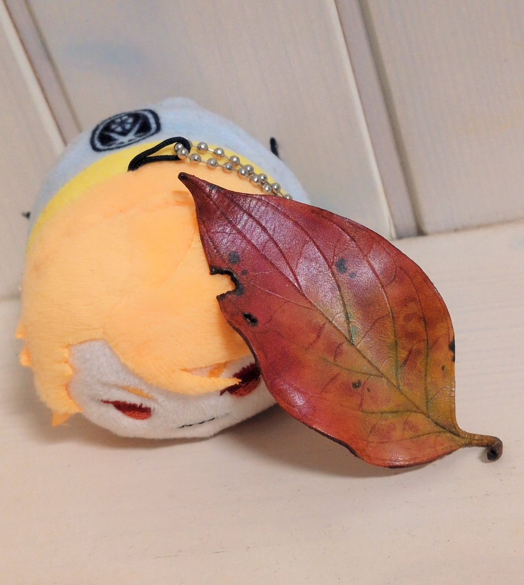 りと🌓29豊川a! tweet media