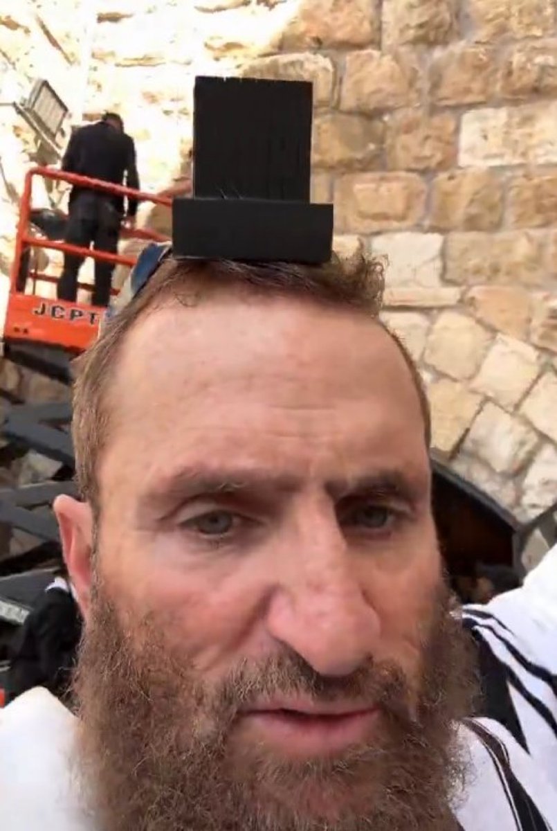 Noah’s Ark 🚢 tweet media