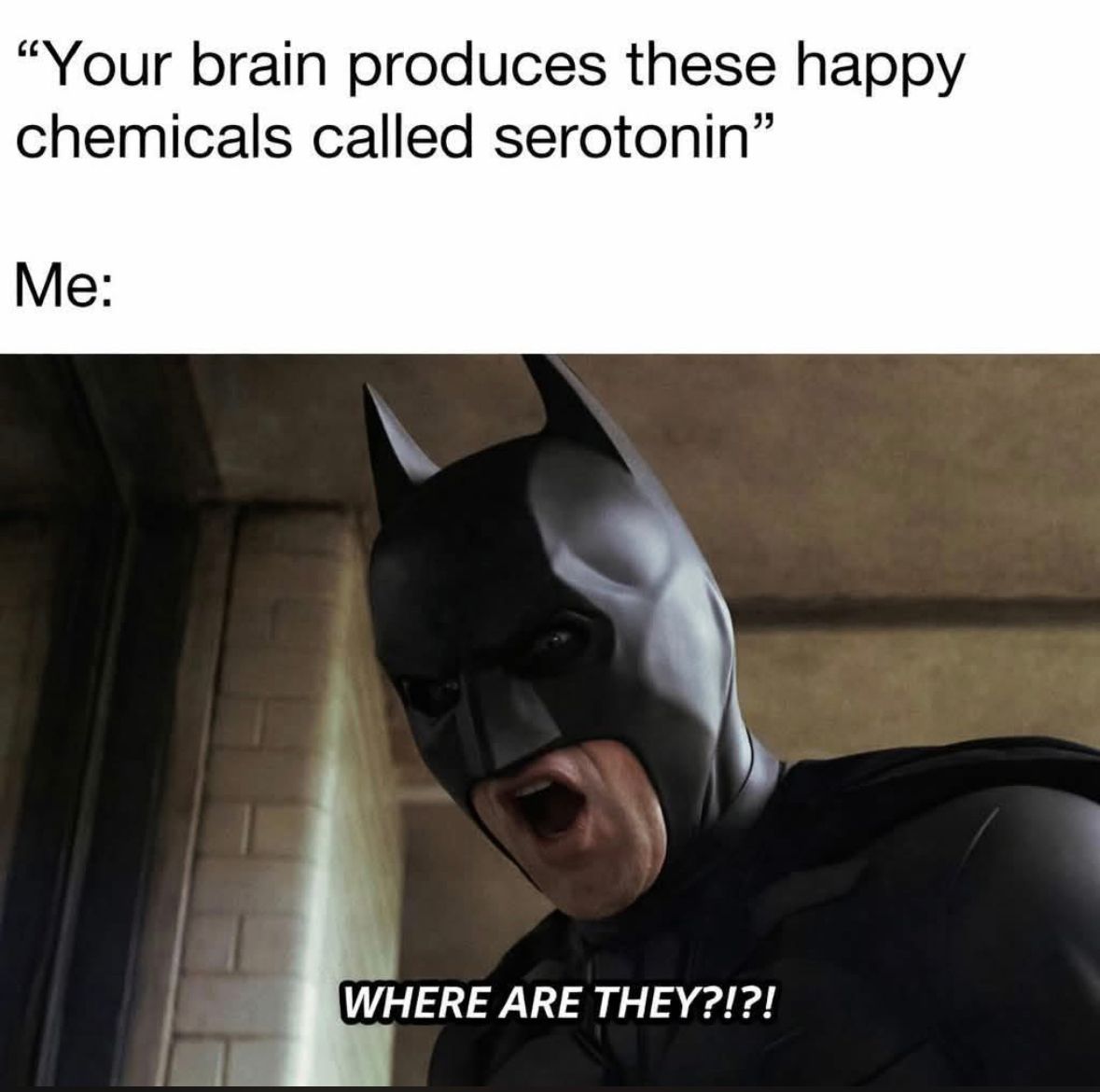 ADHD Memes tweet media