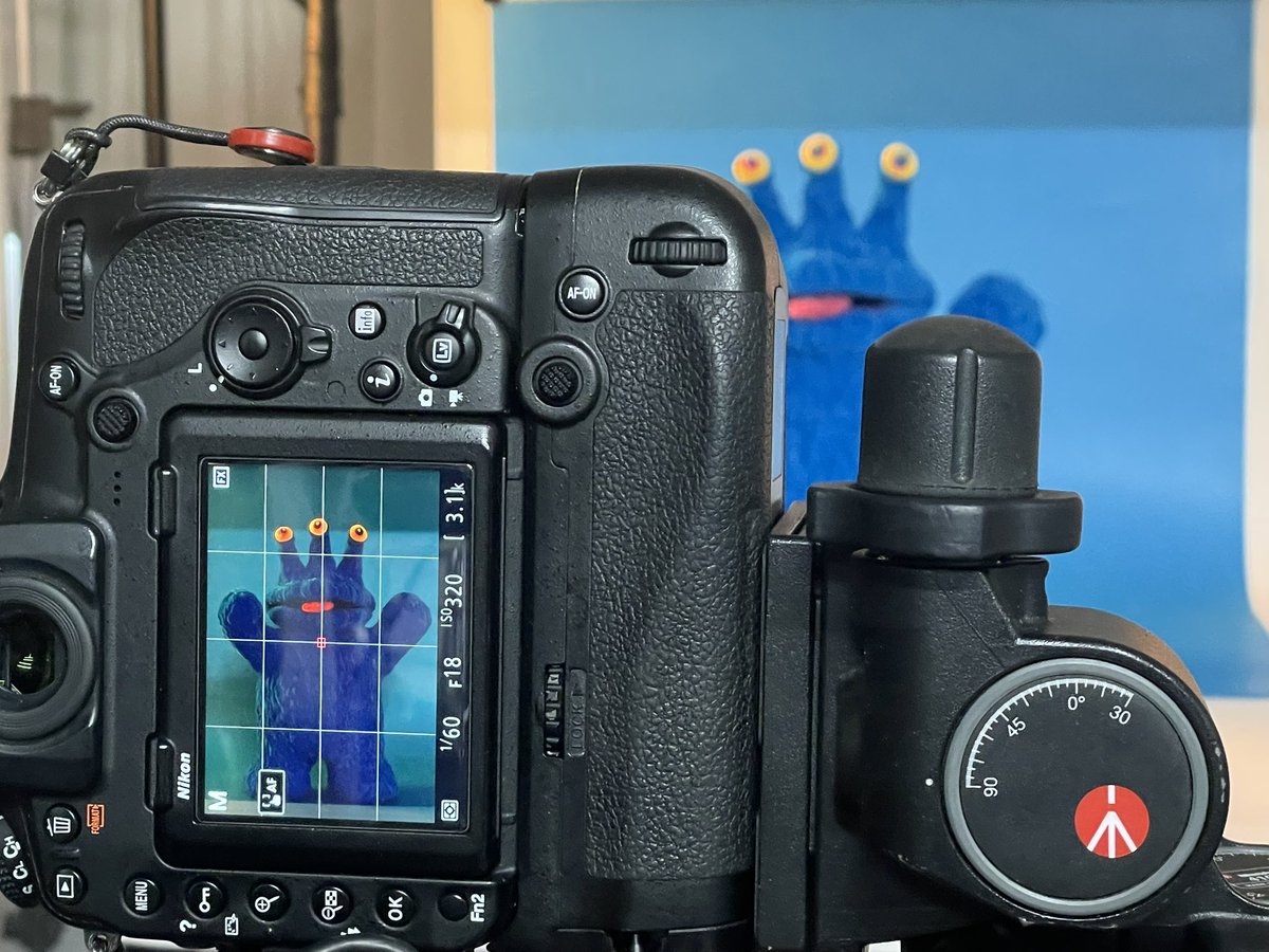 フジサキタクマ MOGOLS TOKYO tweet media