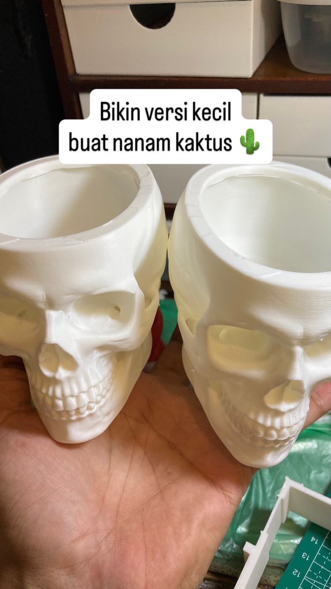 Dolan with Deni tweet media