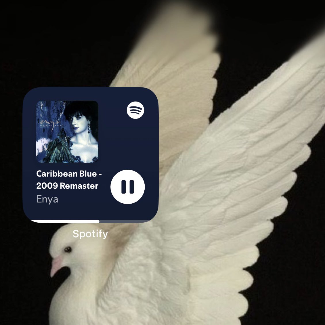 عاطفة tweet media