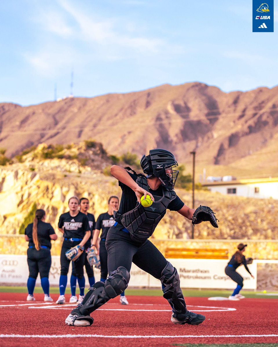 Delaware Softball tweet media