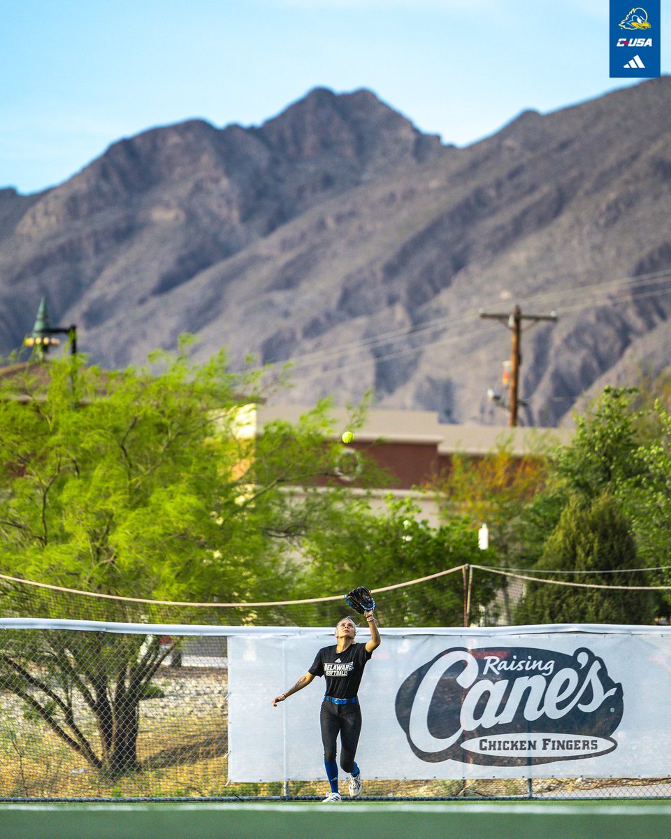 Delaware Softball tweet media