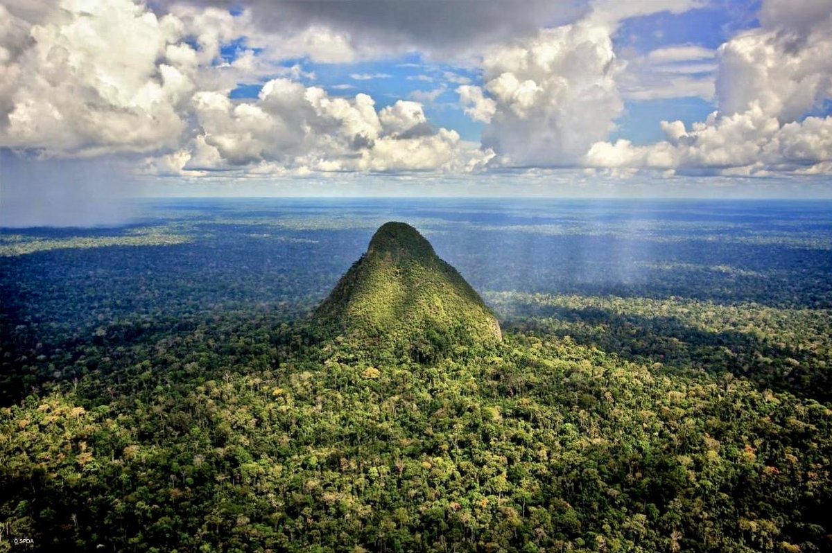 Dr Tom Montgomery tweet media