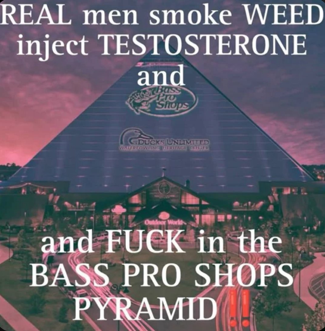 spencer 𓆟 tweet media