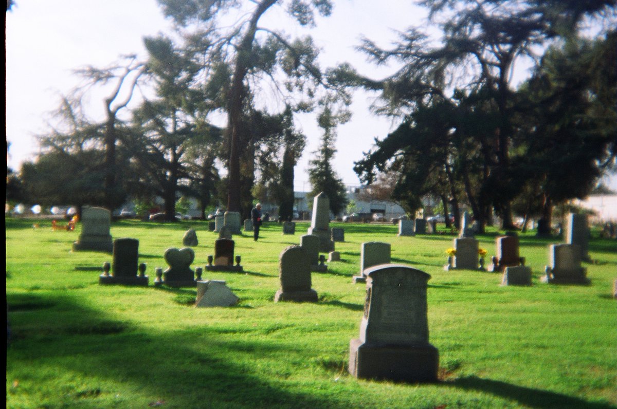 Forest, Tyrannical Hole tweet media