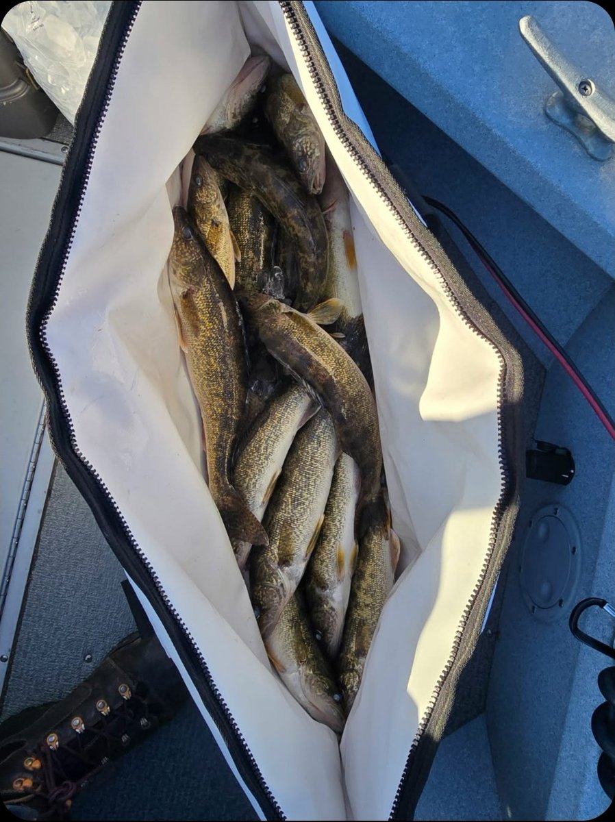 P.N.W outdoors (R.F.C.) tweet media