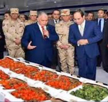 مهاجر tweet media