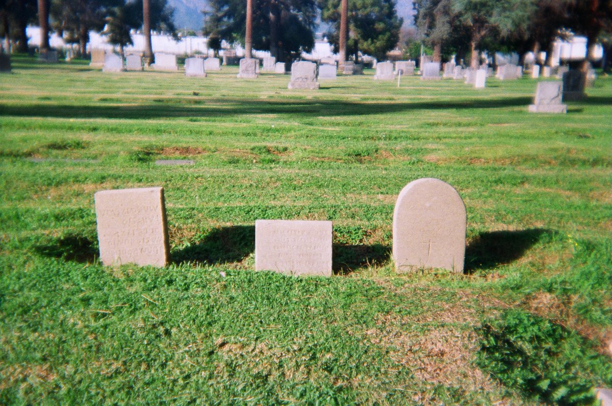 Forest, Tyrannical Hole tweet media