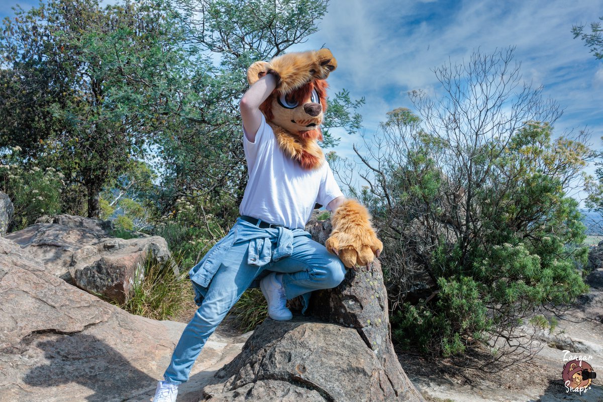 Felix ✨(COMMS OPEN) tweet media