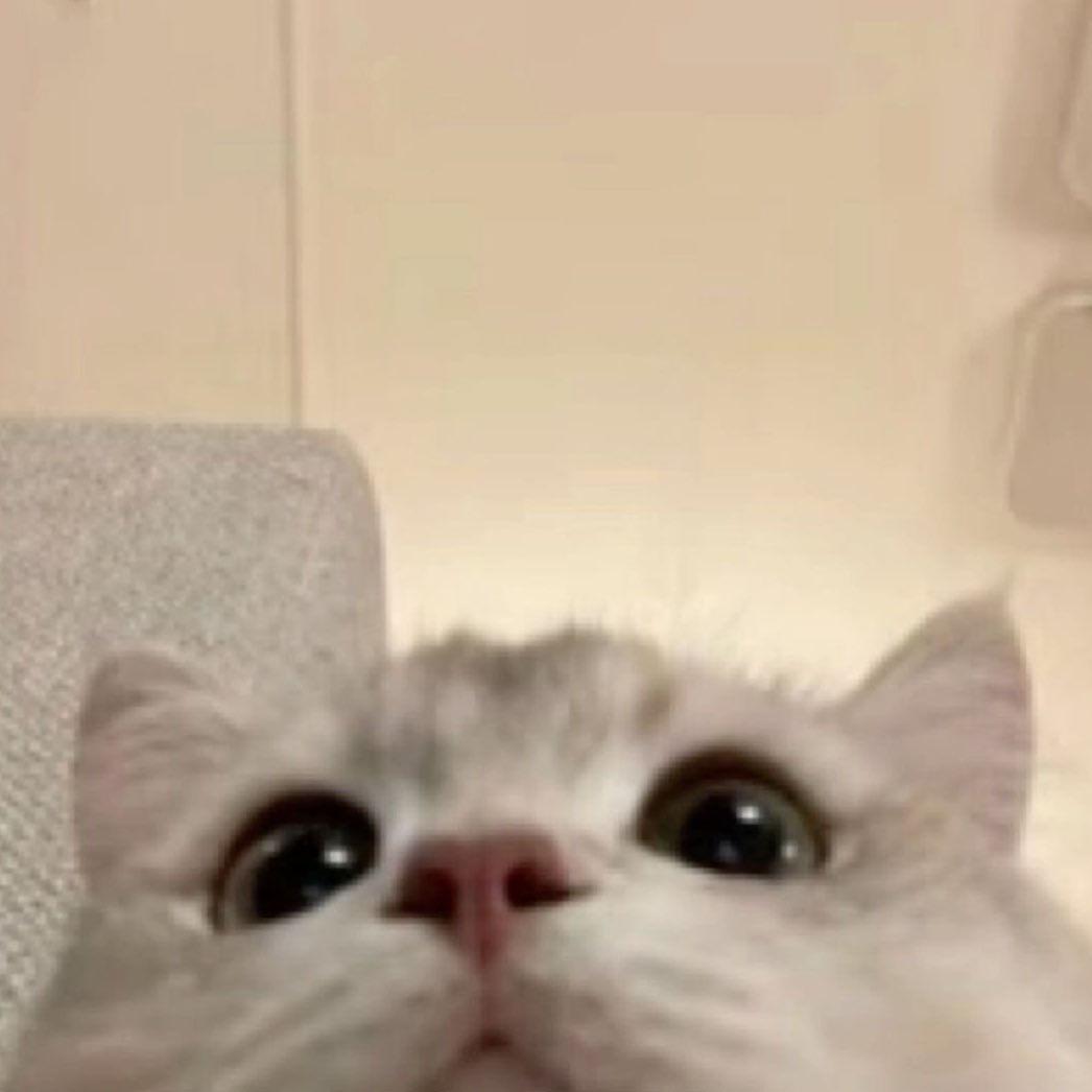 kaia ★ tweet media