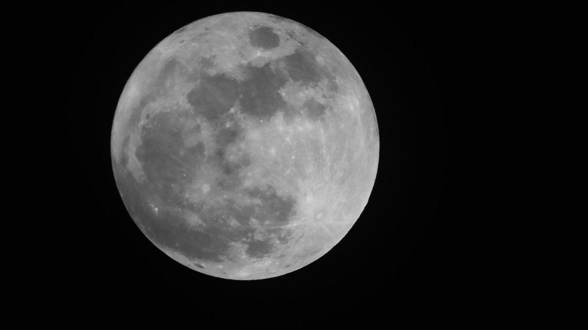 🧨 Ferndale Int’l Observatory tweet media