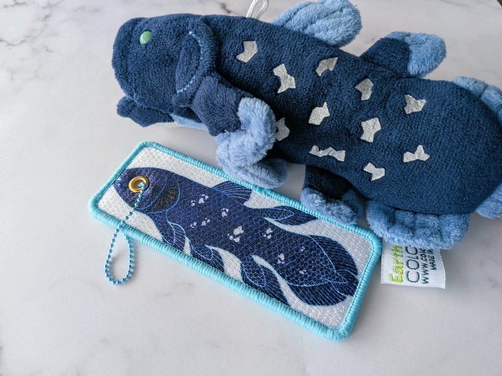 ソノタ@アニマーレ【B-20】 tweet media