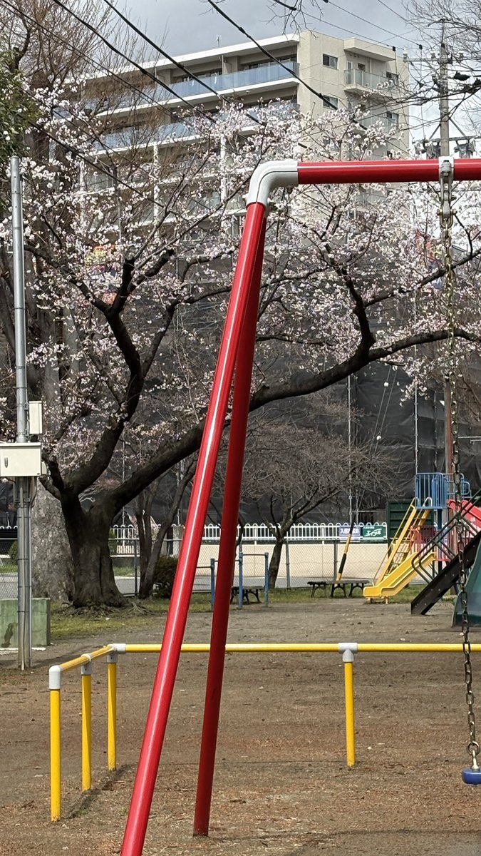 Miyamoto tweet media