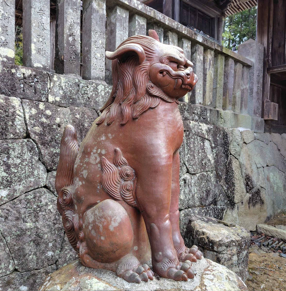 まめ天ボーロ@狛犬探訪 tweet media