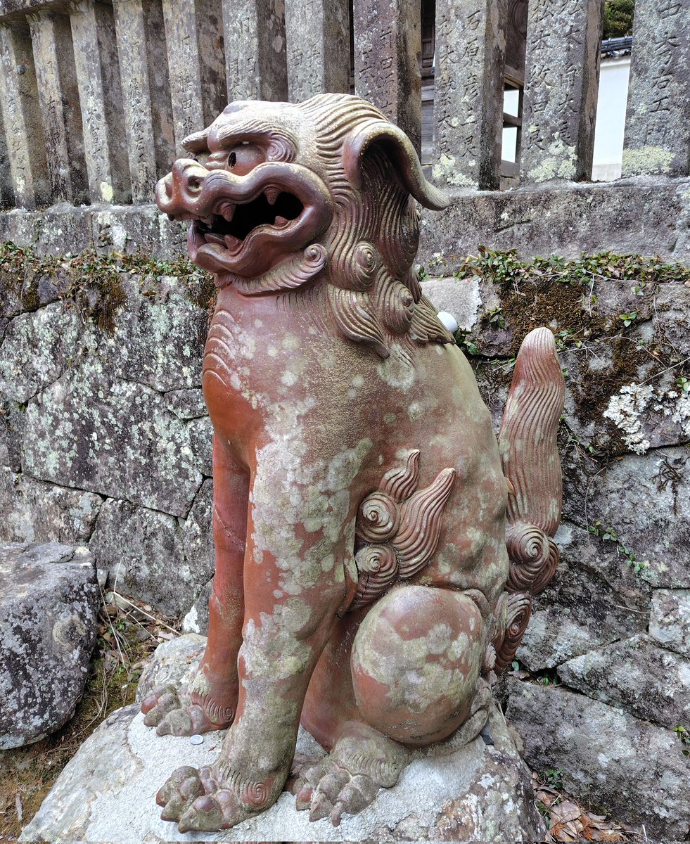 まめ天ボーロ@狛犬探訪 tweet media