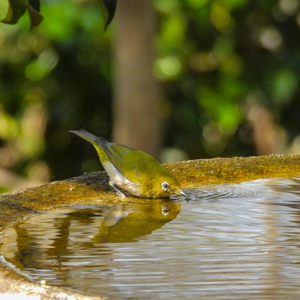 るもちゃん🌈とヒロ tweet media