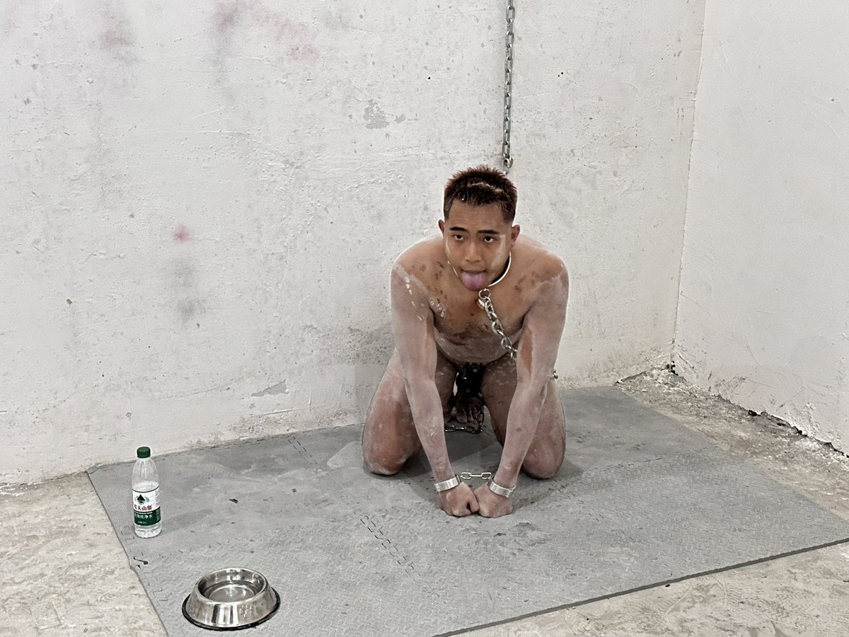 코부 (Kobu) tweet media