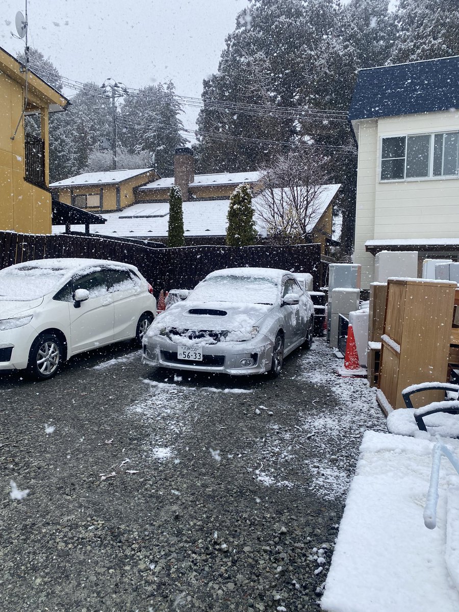 勝サンド tweet media