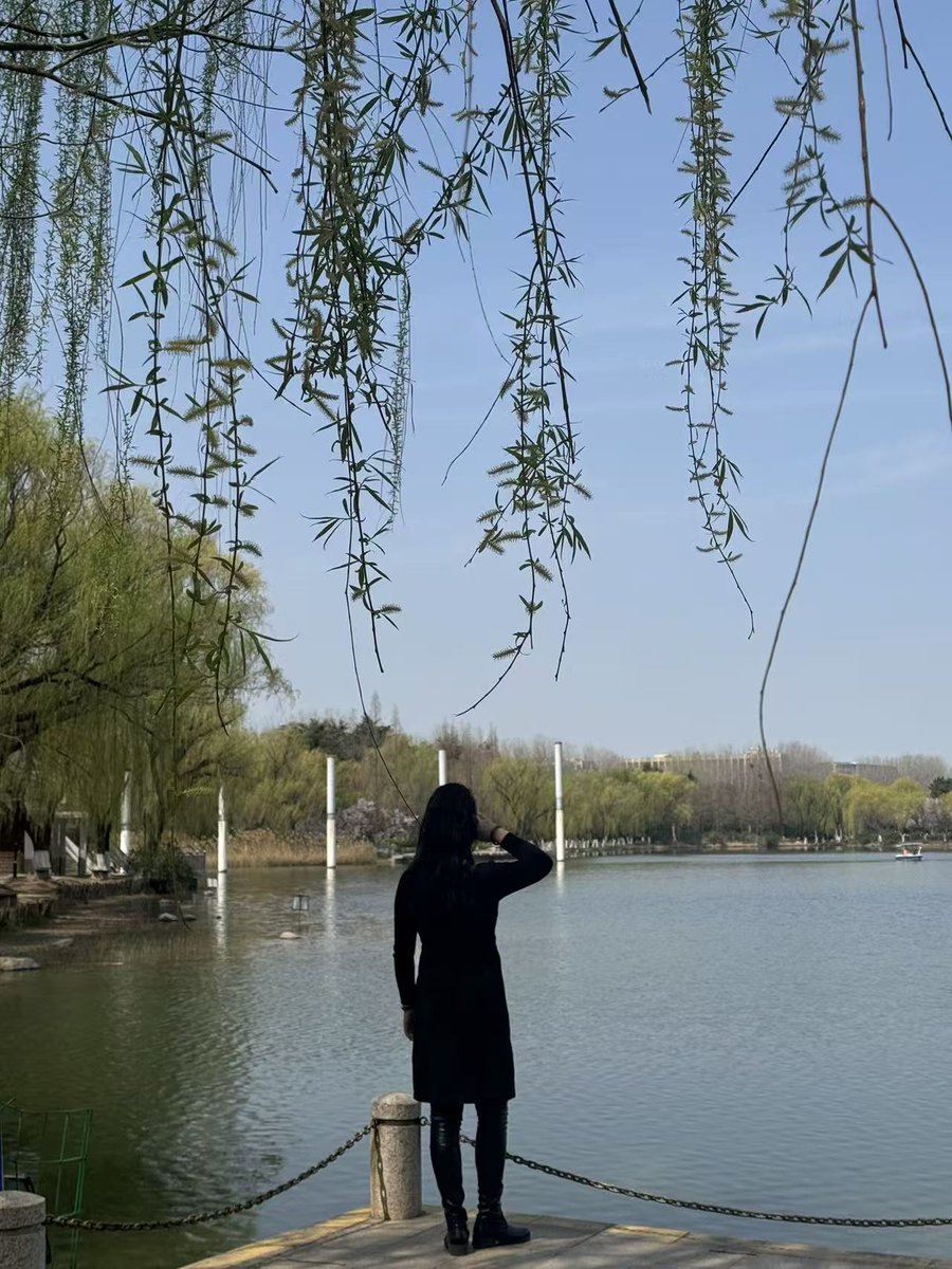 青岛女s秀姐s tweet media