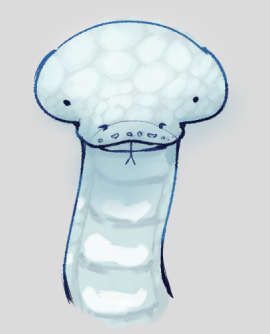 WolfTurf tweet media