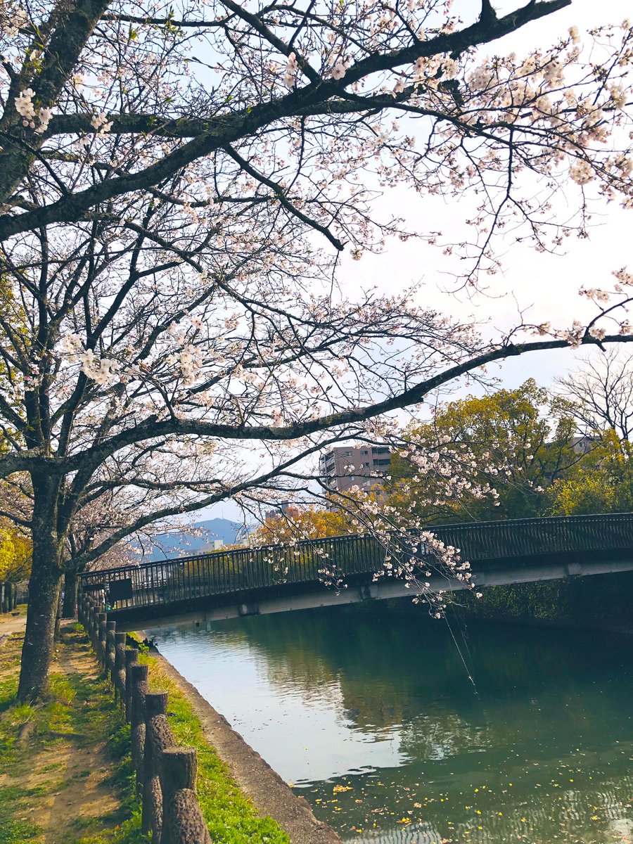 学生時代、青春18きっぷを使い…飛騨高山を訪ねた。この夏…久しぶりに‼︎という話を、昨晩、友人と。春季は、販売and利用共に4/10がリミットで…もぅ間に合わない。けれど…叶える迄の時間も、既に旅の始まり。友人が今、訪ねたい場所は信州。心の余白には…未来へのワクワクを、そっと収めて。#未来