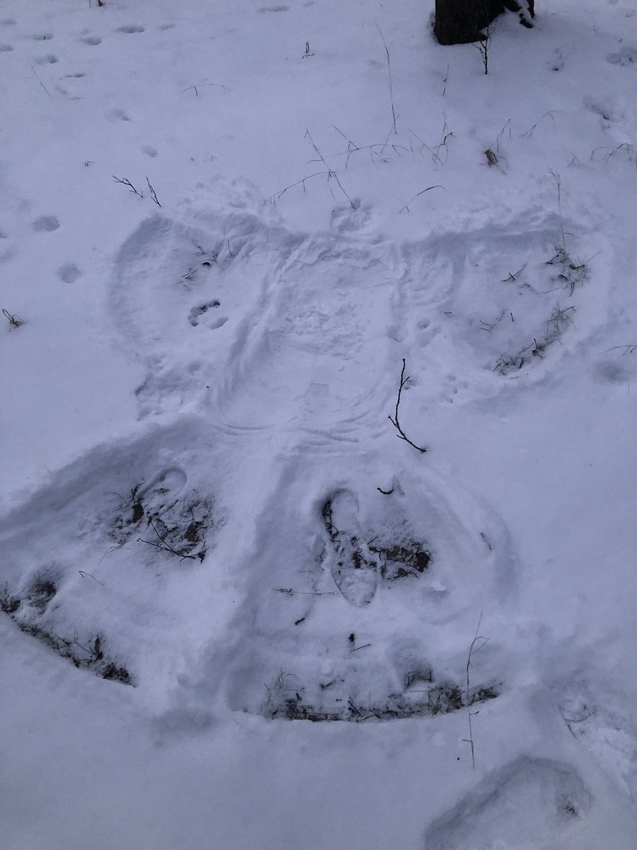 mrpicule.eth tweet media