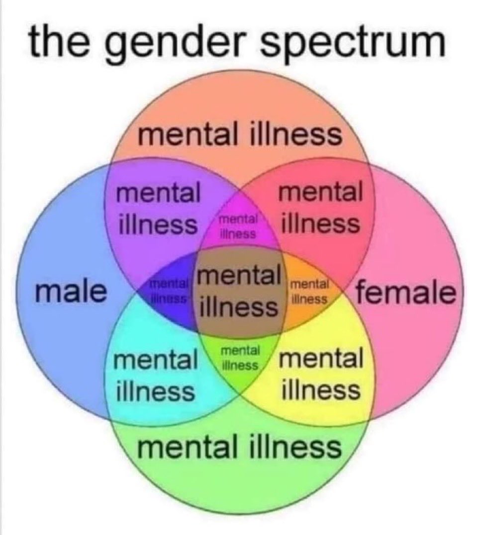 bigwoods🇺🇸 tweet media