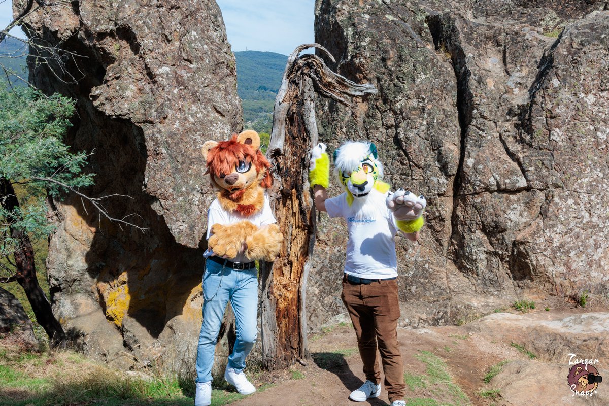 Felix ✨(COMMS OPEN) tweet media