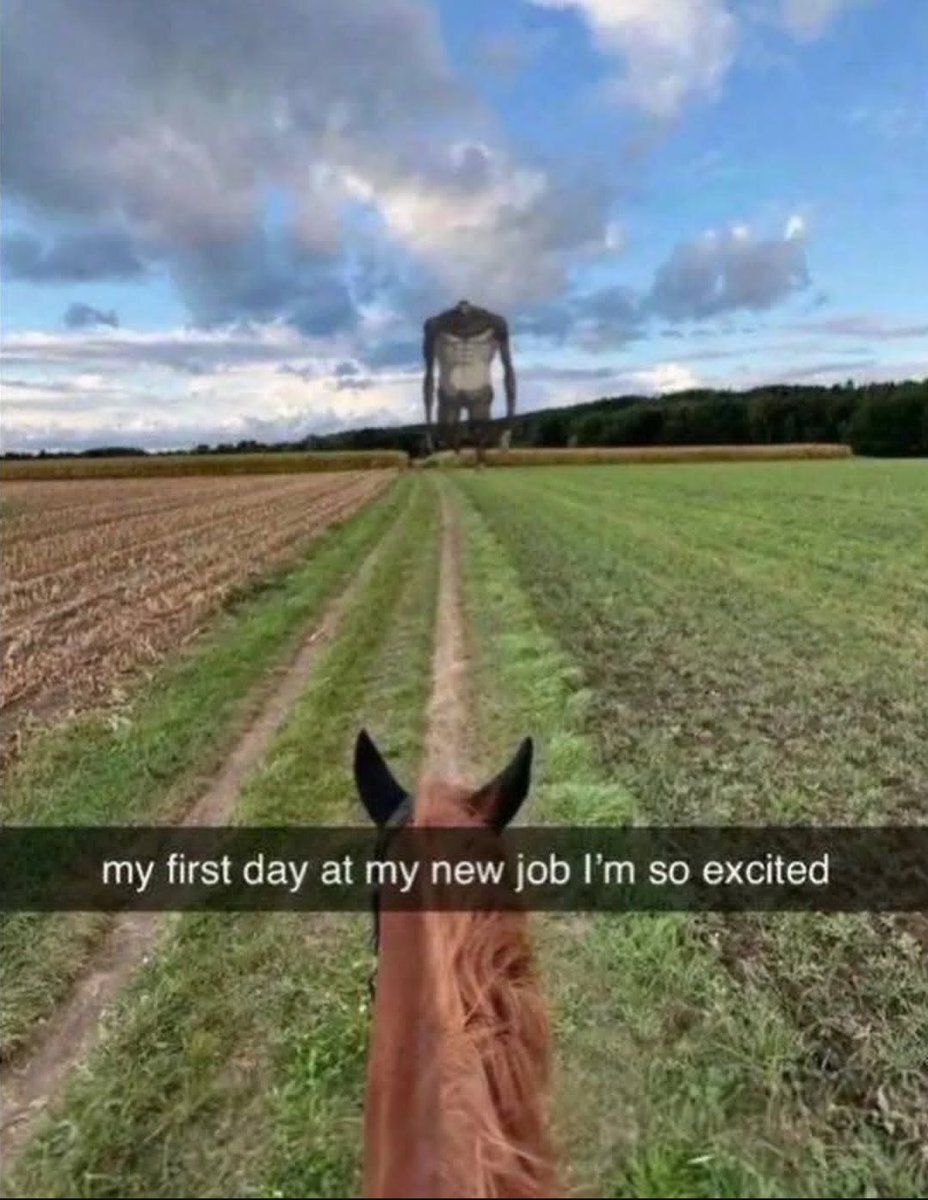 Anime Posts tweet media