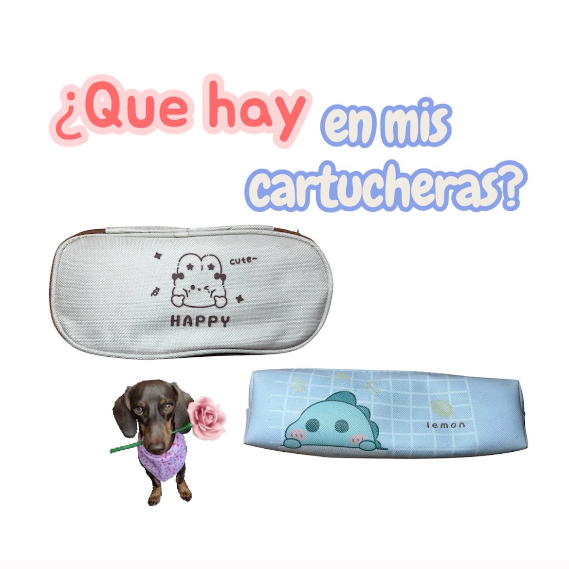 Luz 🍡 saw MCR K4OS 11/4 tweet media