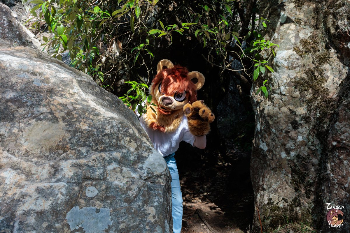 Felix ✨(COMMS OPEN) tweet media