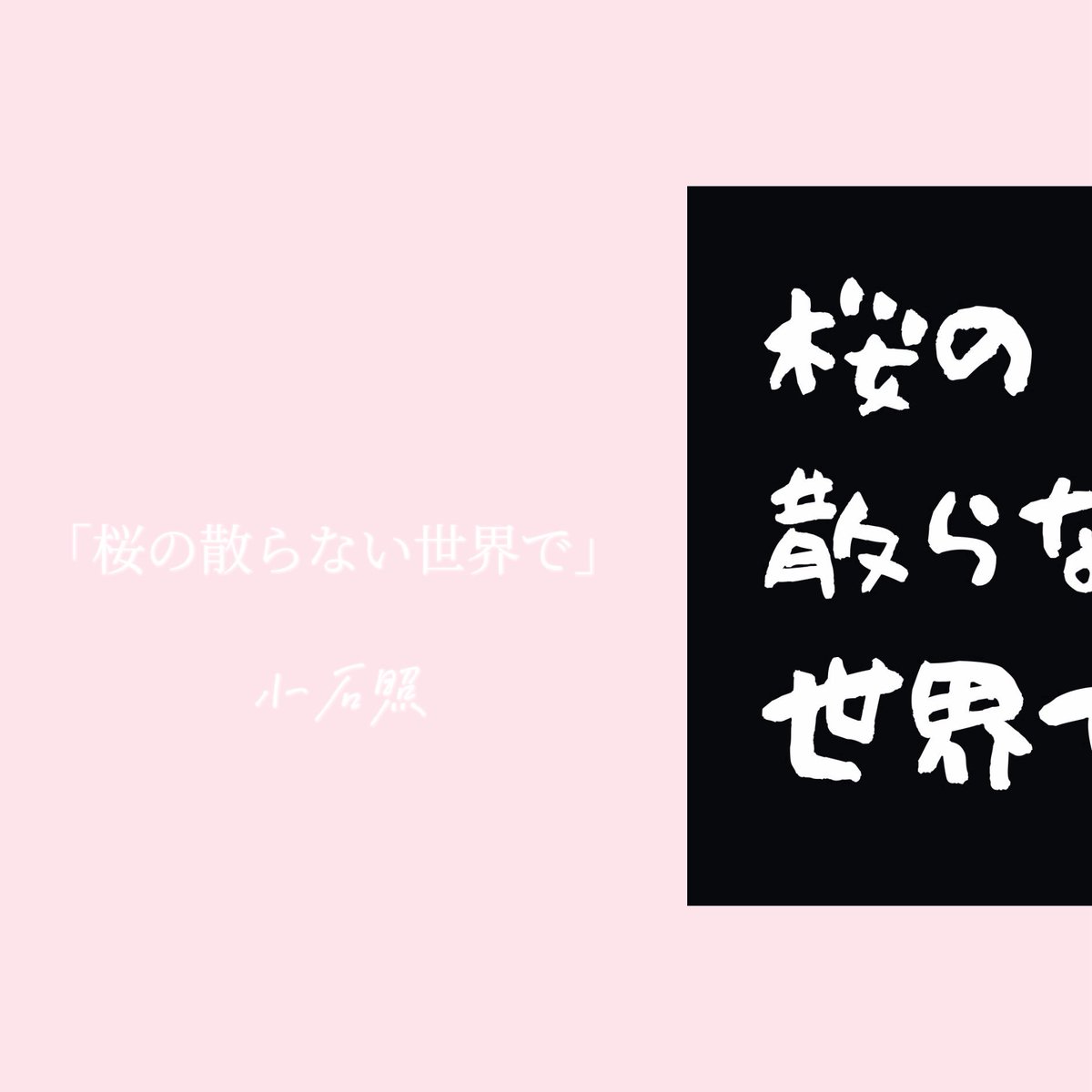 小石照 tweet media