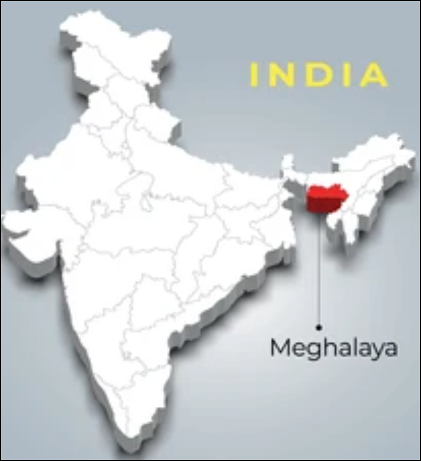 InfraZon tweet media