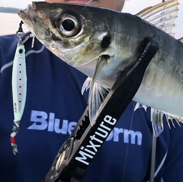 杉山 貴司 tweet media