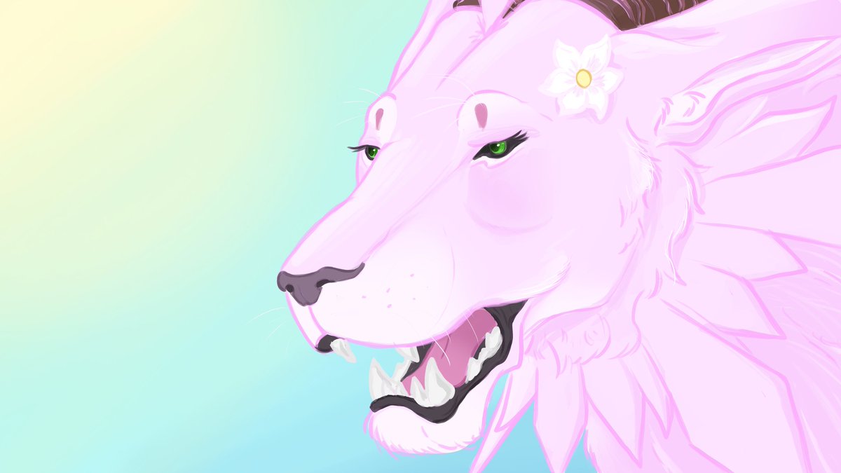 Fiyobird tweet media